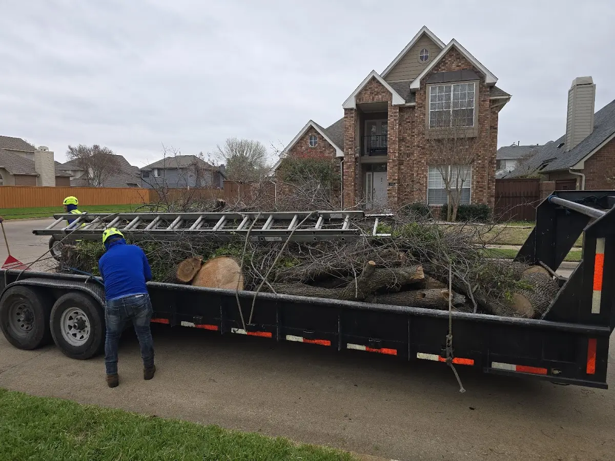 Expert Lot Clearing with proper safety equipment in Ennis